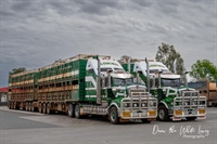 Athorn's Livestock Transport - Cunnamulla
