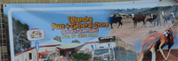 Wyandra Post, General Store and Caravan Park