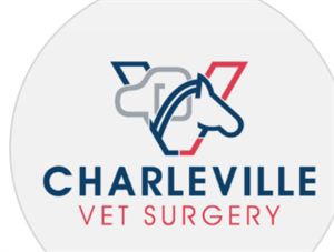 Charleville Vet Surgery