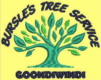 Bursle's Tree Service - Goondiwindi